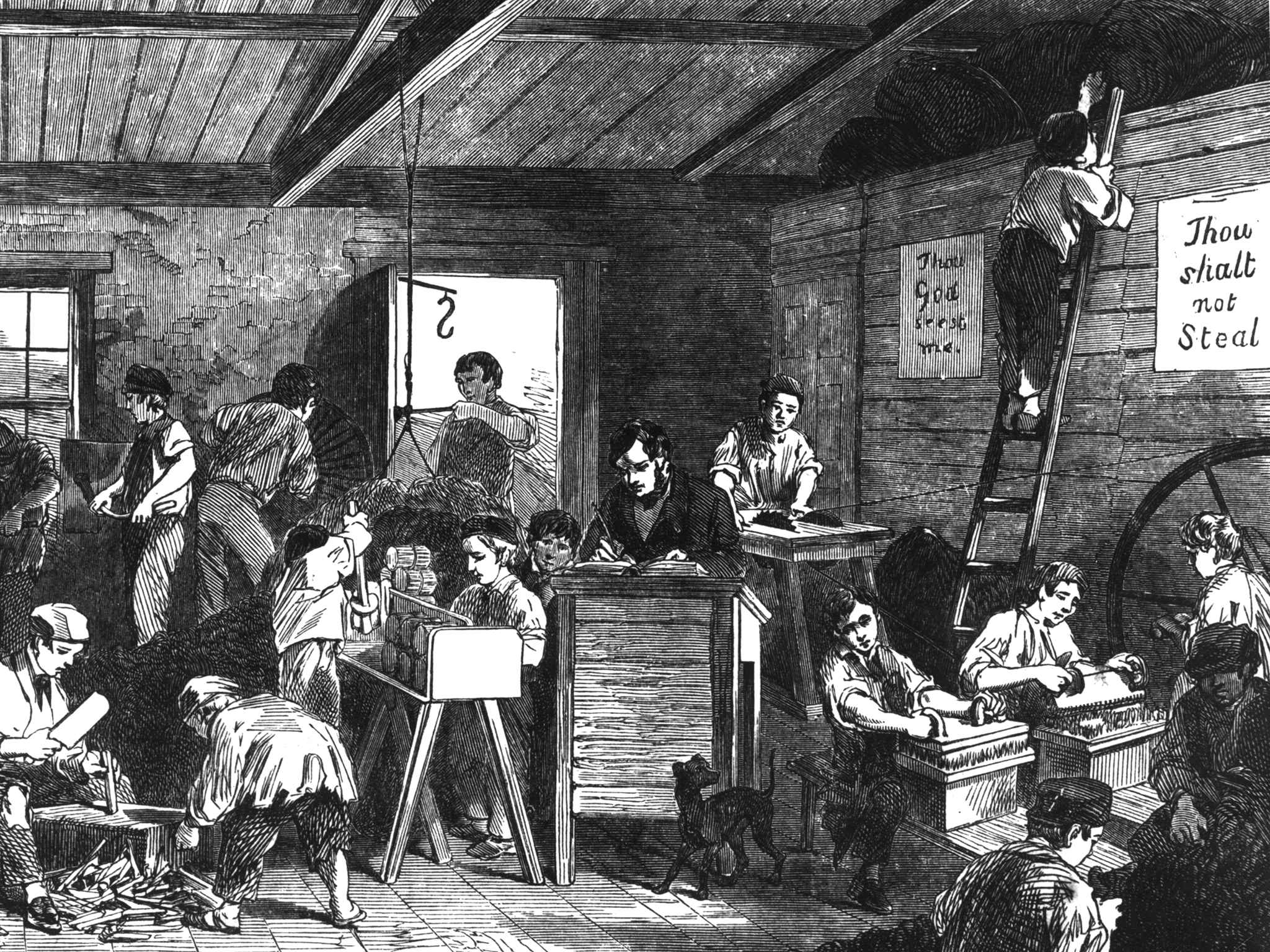 web victorian young offenders