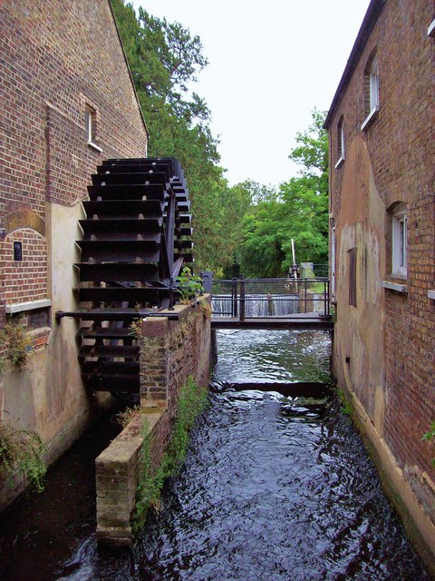 family tree chalkboard chore chart 2061626469